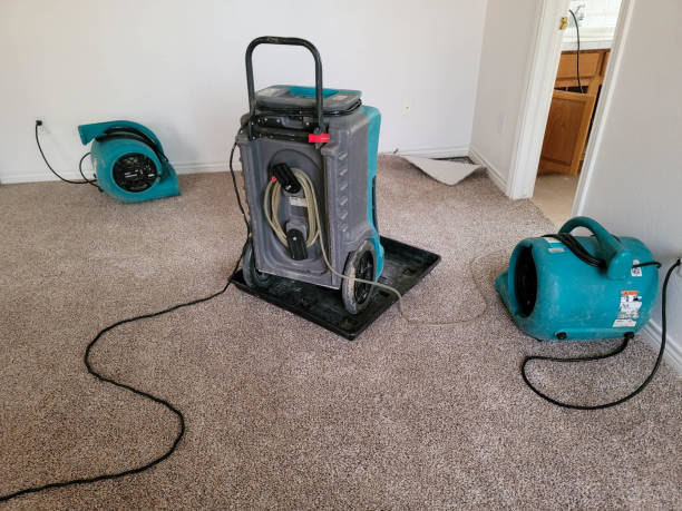 Best 24/7 water damage repair  in Dallesport, WA