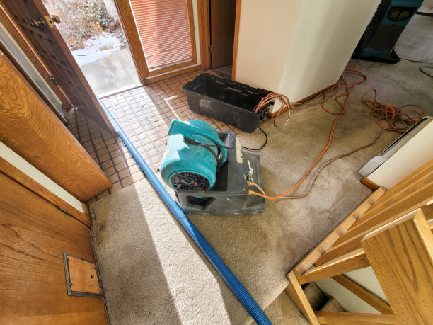 Best Carpet water damage restoration  in Dallesport, WA