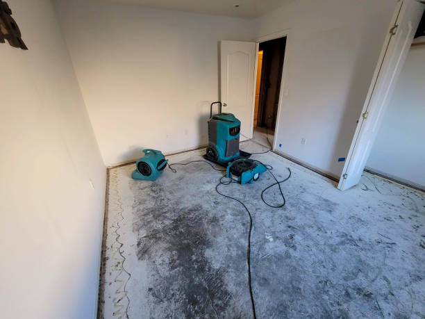 Best Basement water damage restoration  in Dallesport, WA