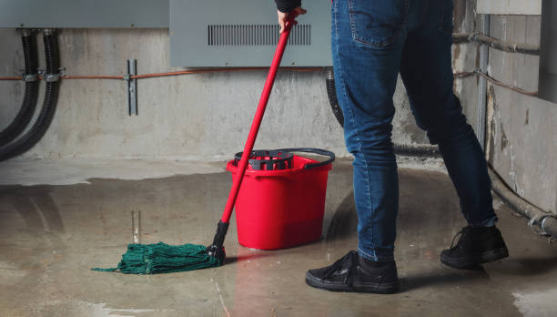 Best 24-hour water damage restoration  in Dallesport, WA