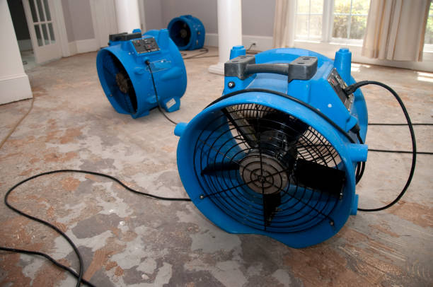 Best Sewage cleanup and water damage restoration  in Dallesport, WA