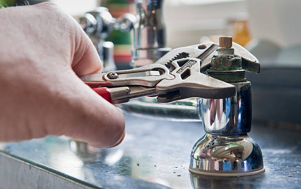 Best Mold removal after water damage  in Dallesport, WA