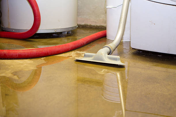 Best Water damage restoration near me  in Dallesport, WA
