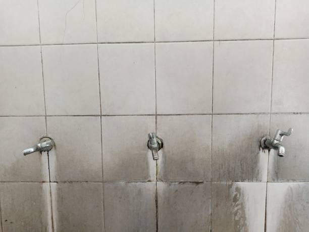 Best Water damage restoration near me  in Dallesport, WA