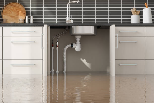 Best Local water damage restoration  in Dallesport, WA